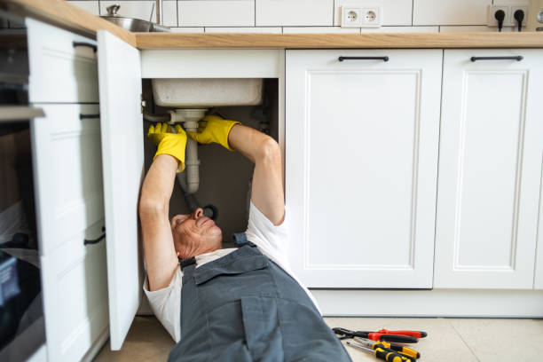 Best Same-Day Plumbing Service  in Riverside, IL